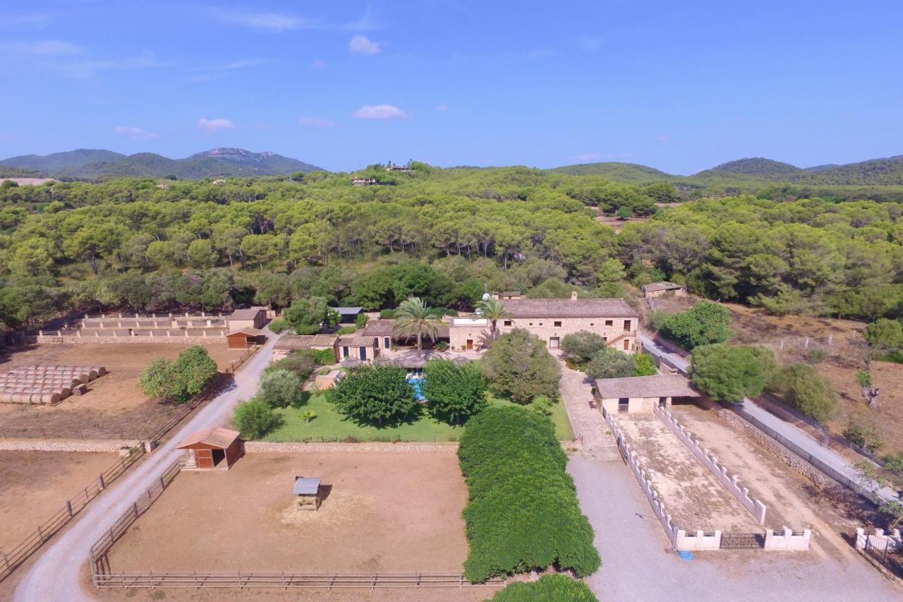 Feriehus Tort Cala Murada (Mallorca)